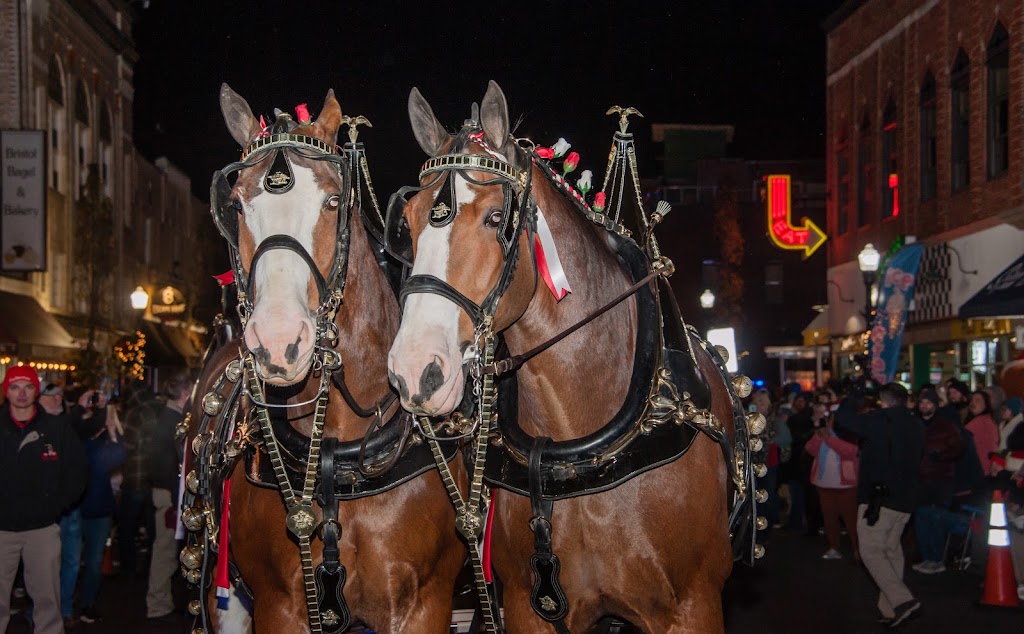 Photo Tech Photography