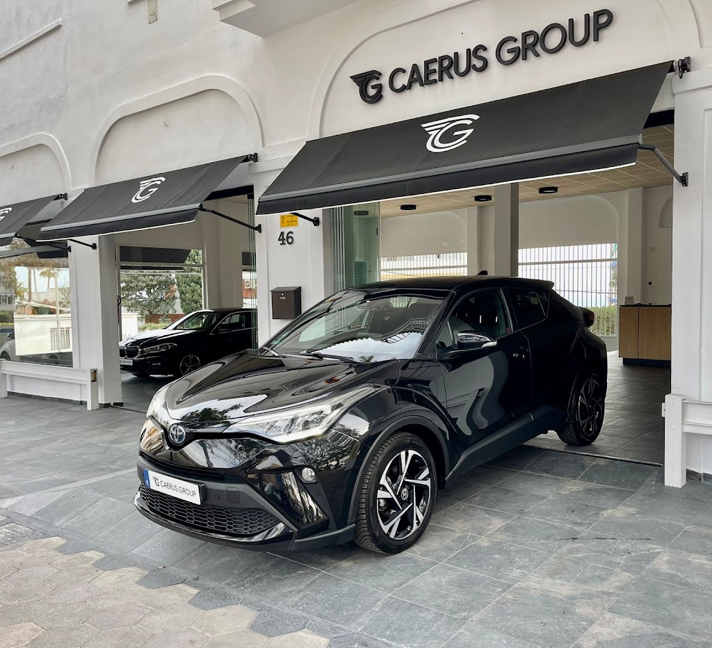 Concecionario de coches - Caerus Group — Del propietario