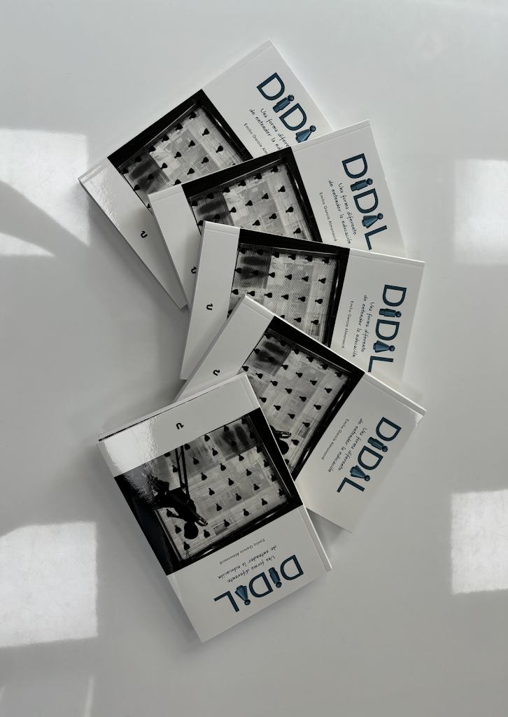 Didal Academia De Ensenanza