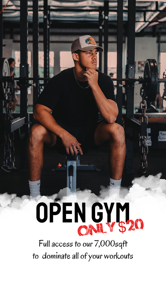  Athletes Performance Institute