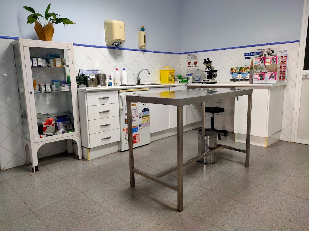 Clinica Veterinaria Gran Plaza — Del propietario