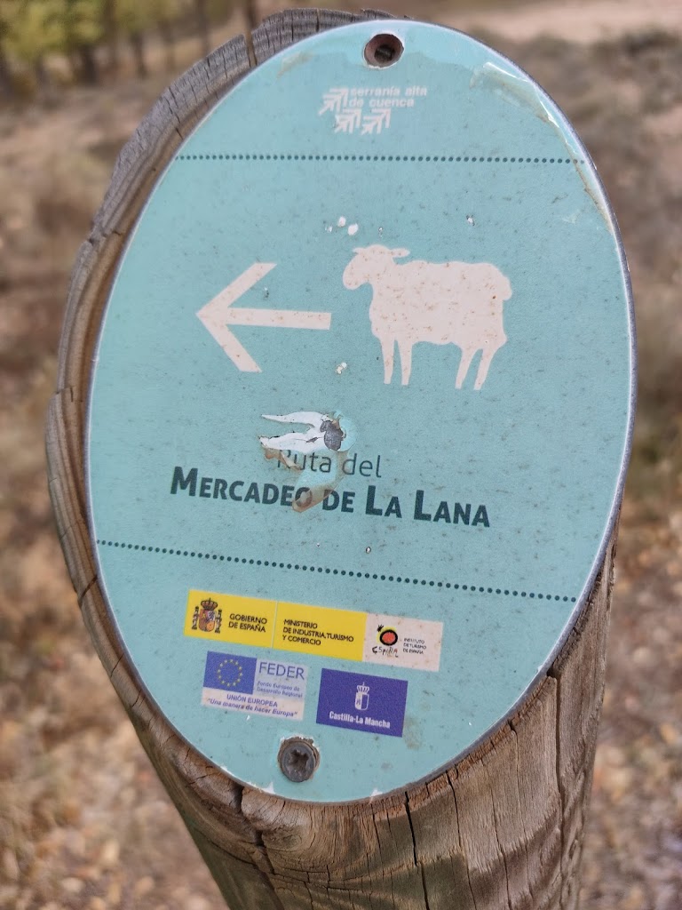 Ruta Mercadeo de la Lana
