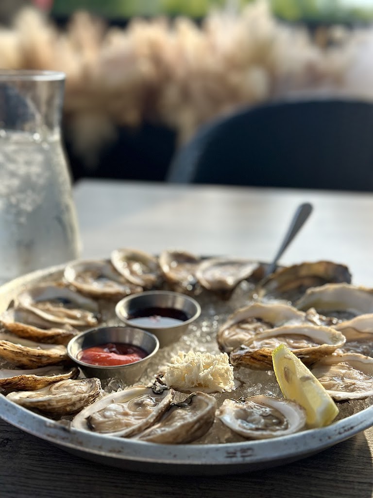 Oyster