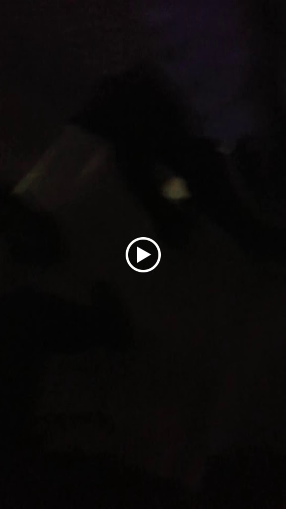 La Sastreria — Videos