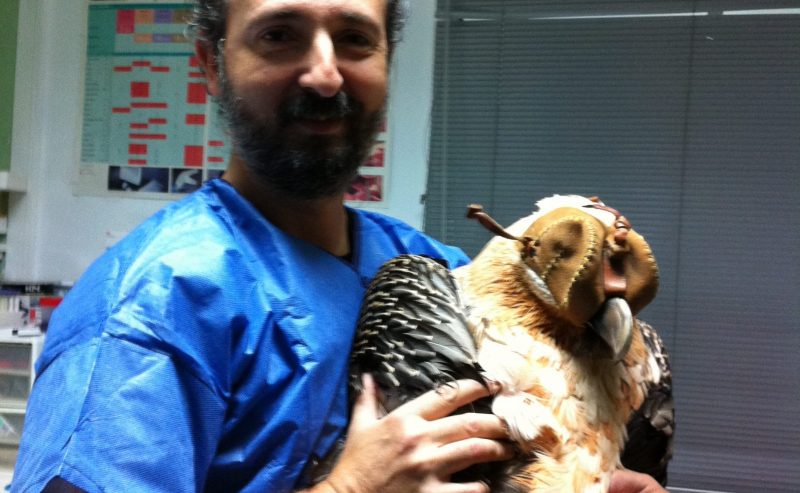 Clinica Veterinaria Santa Maria — Del propietario