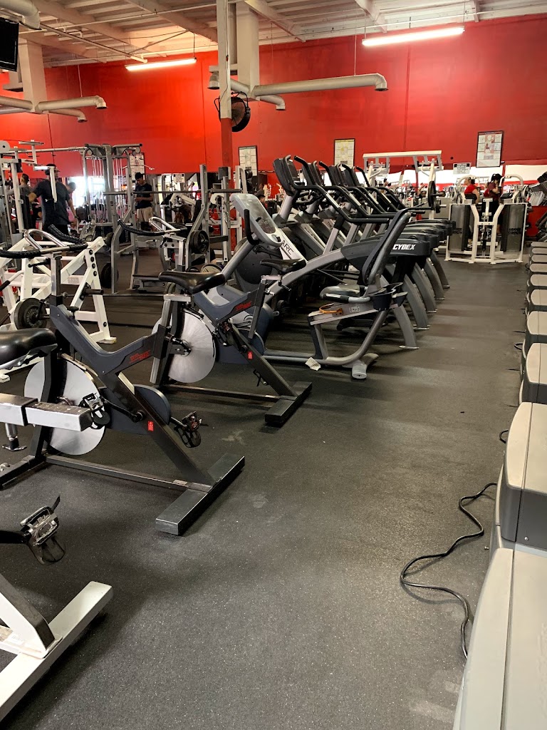  Iron Annihilation Gym