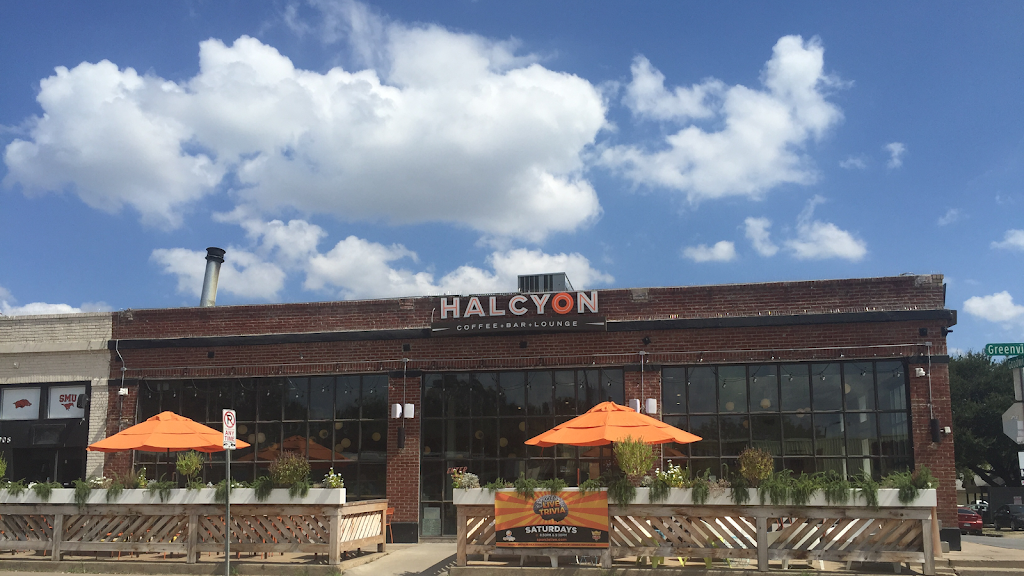 Photo of Halcyon