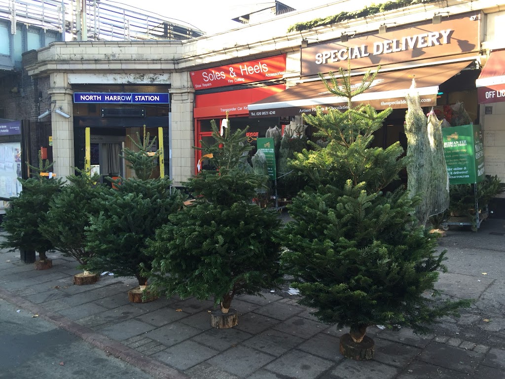 Van Arthur Florist - Harrow