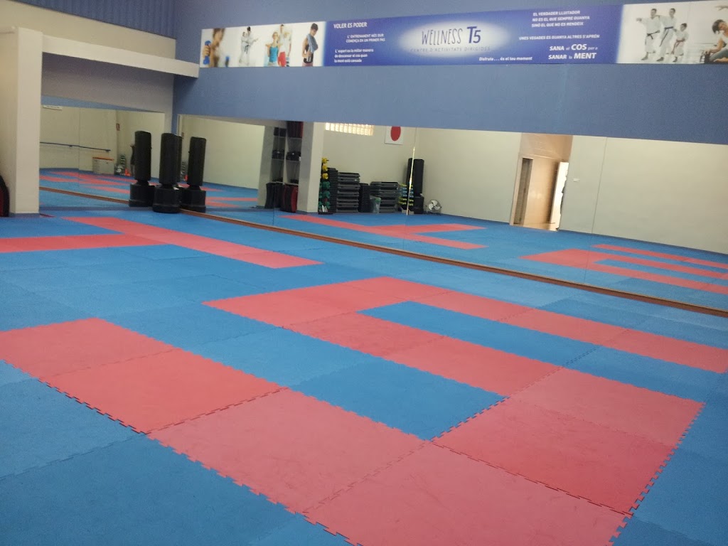 WELLNESS T5 - CLUB KARATE ALZIRA — Del propietario