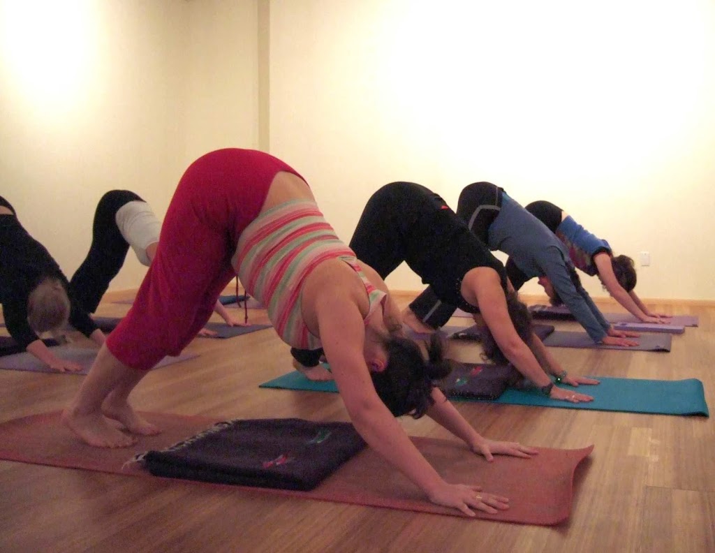  Whole Life Yoga Studio