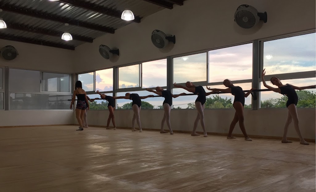 DANSEURS — Danza