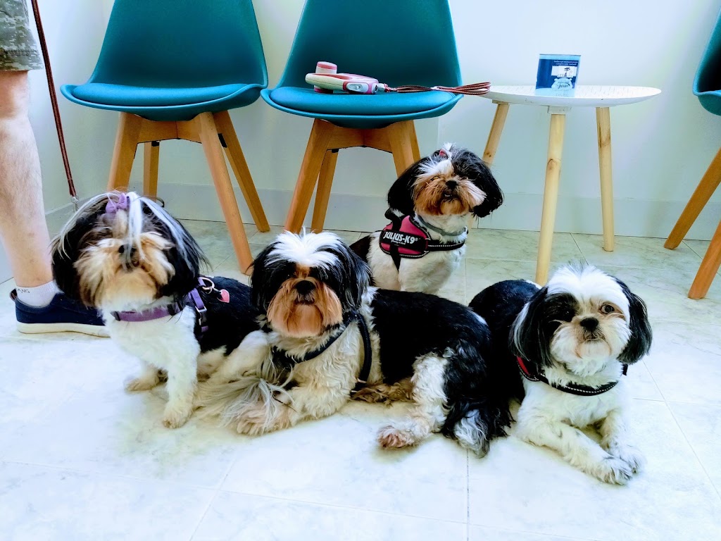 Clinica Veterinaria Pura Vida — Del propietario