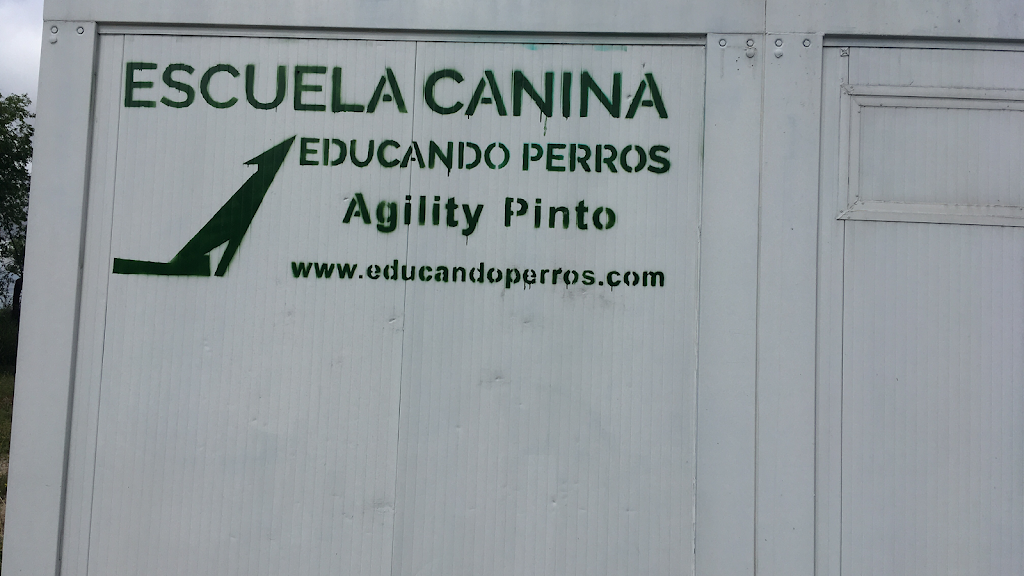 Centro Canino Educando Perros. Club Agility Pinto