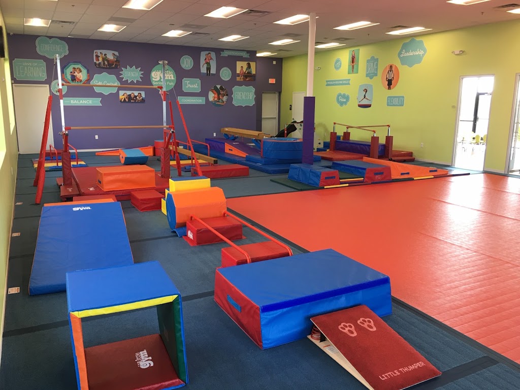  The Little Gym of Cave Creek