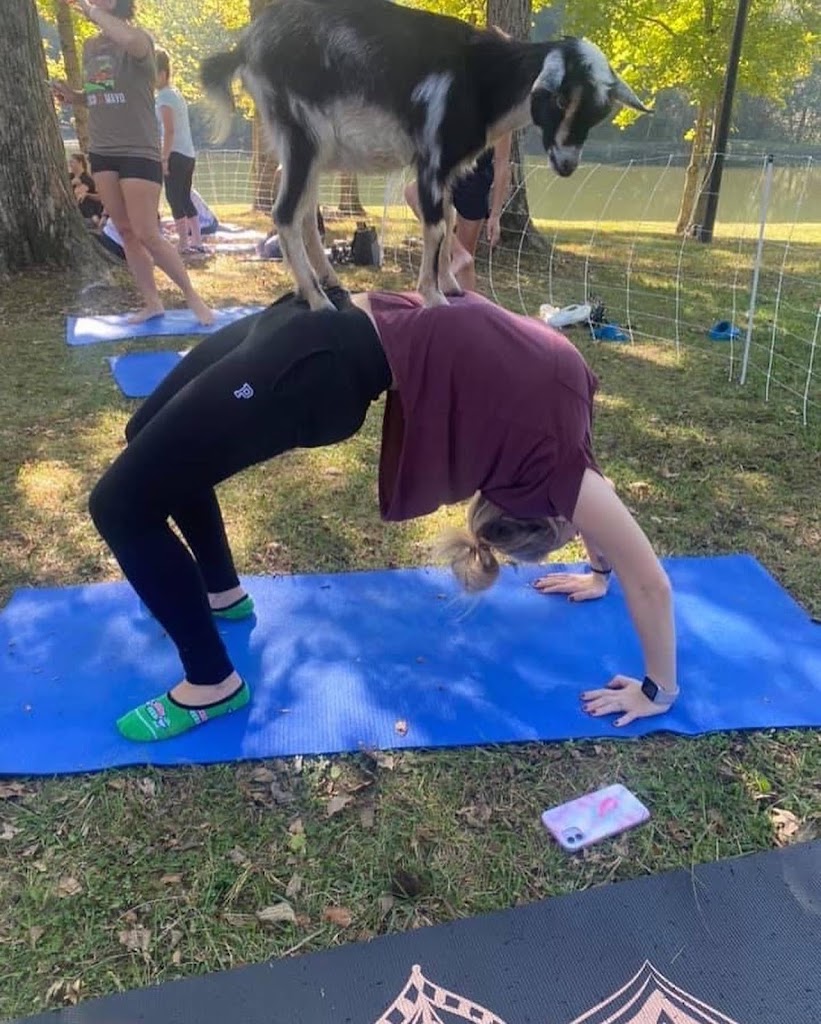  Goat Yoga of Southern IL