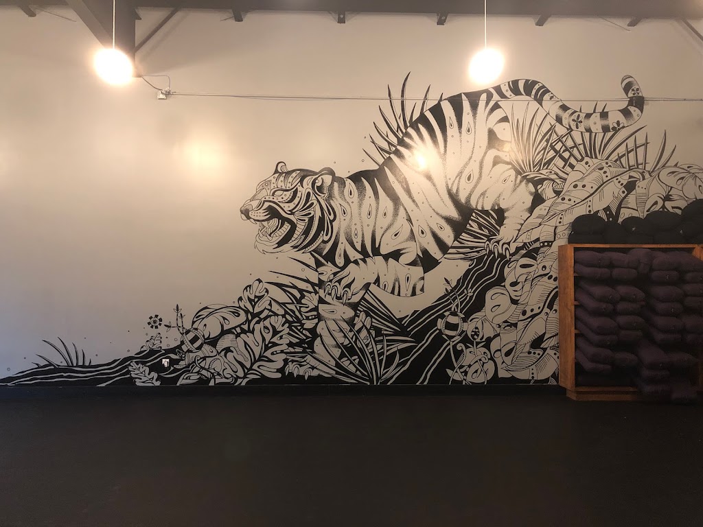  Black Swan Yoga - Anderson