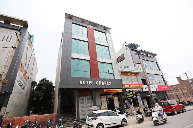 Oyo Hotel Green Grapes
