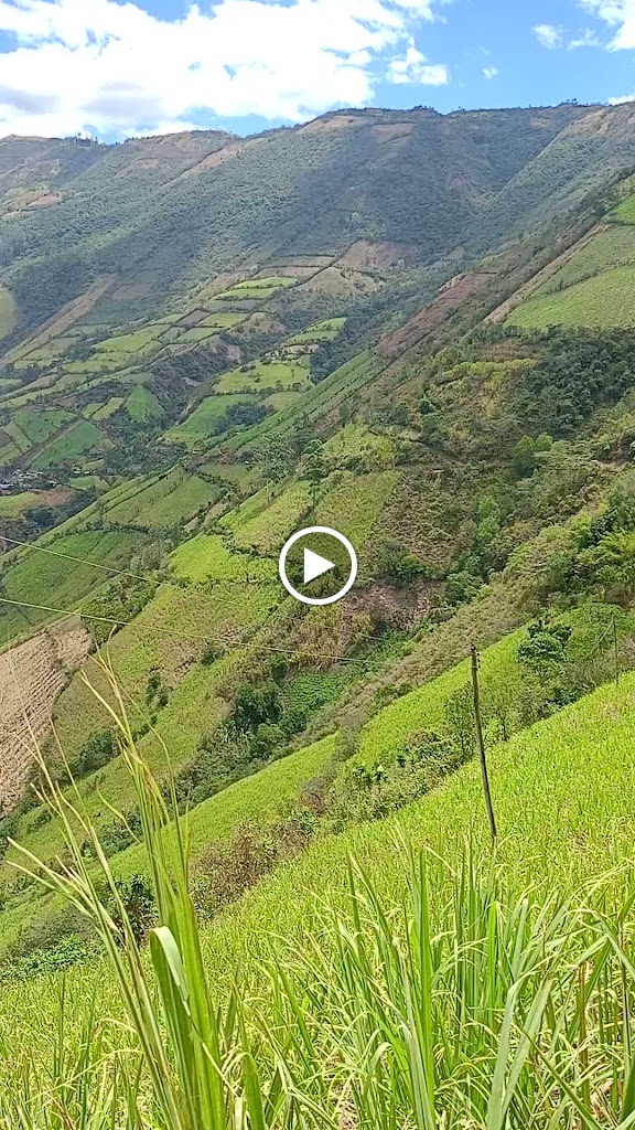 Desguaces El Molino — Videos