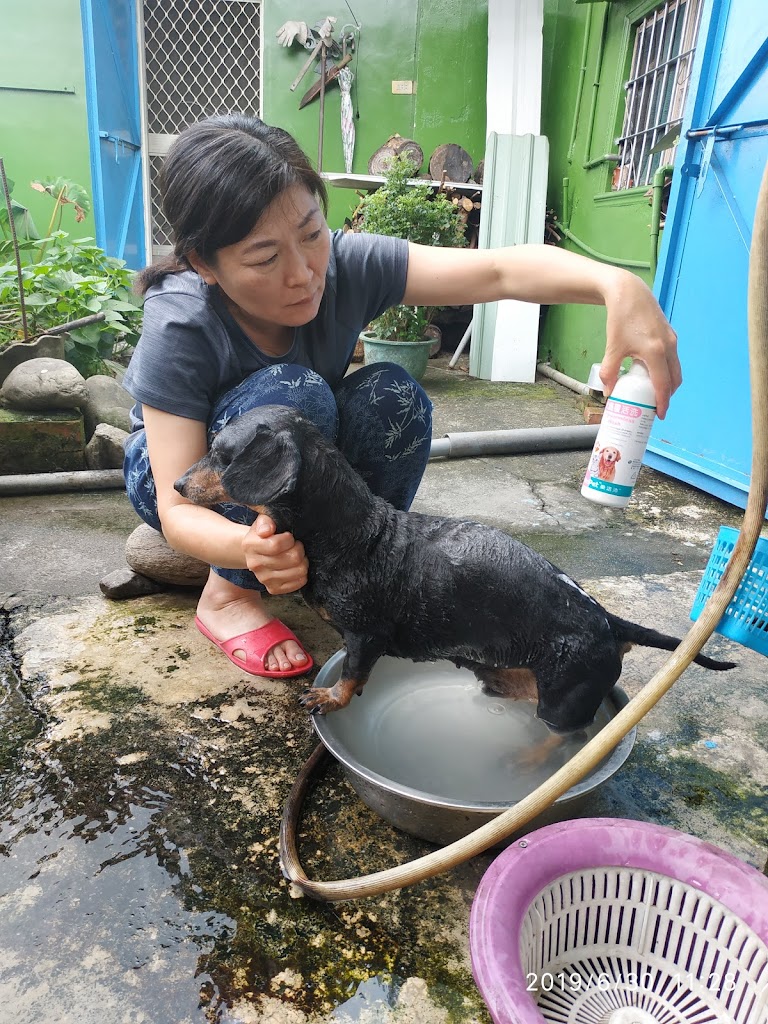 平安咖啡喜樂花茶 的照片