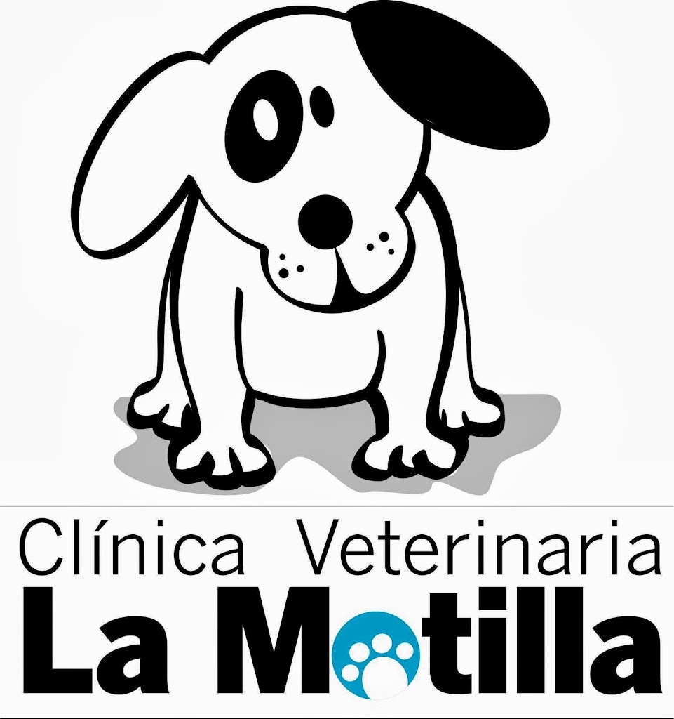 Clinica Veterinaria La Motilla — Del propietario