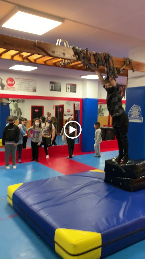 Artes Marciales Sant Boi - Mugendo — Videos