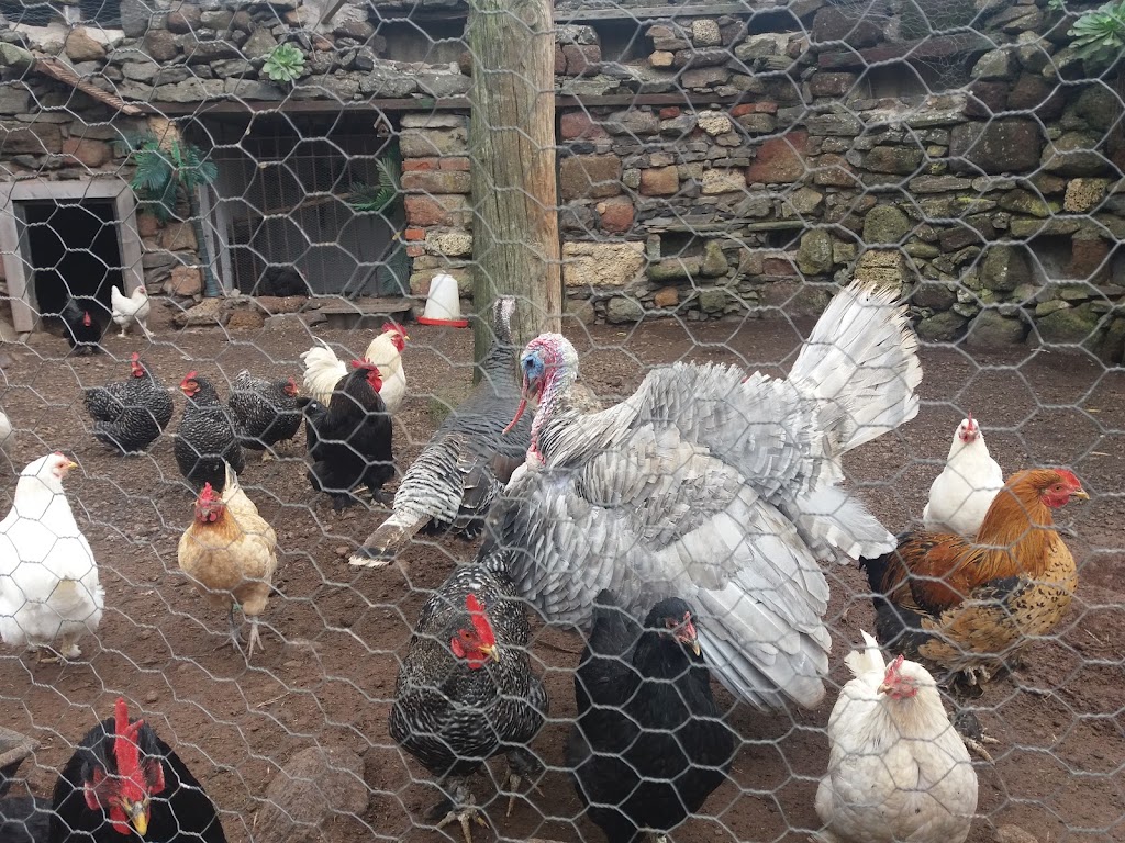 Finca Manchon de las Flores