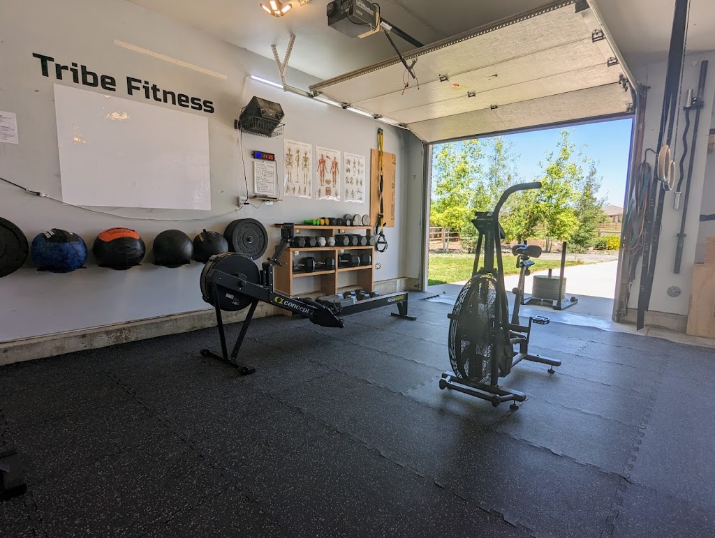  Tribe Fitness