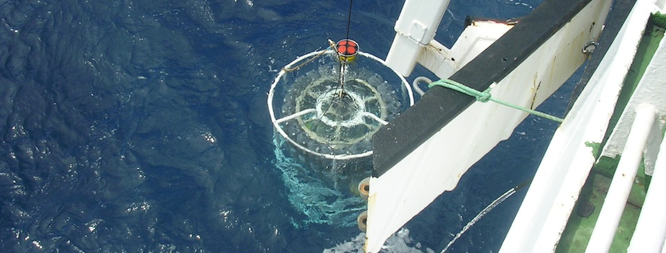 Instituto de Oceanografia y Cambio Global (ULPGC)