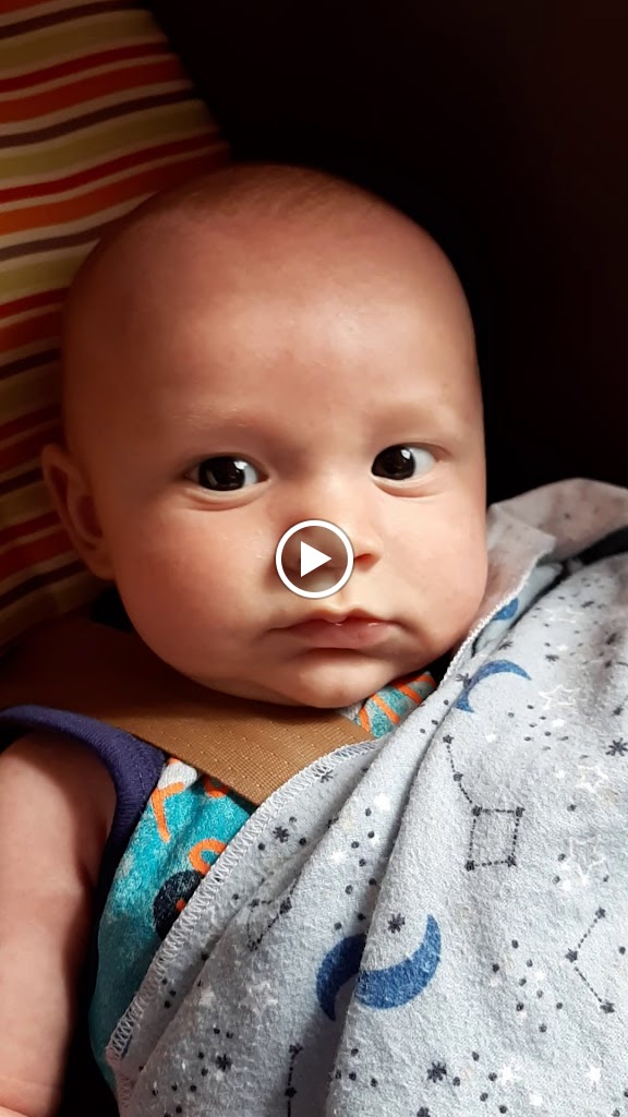 Videos
