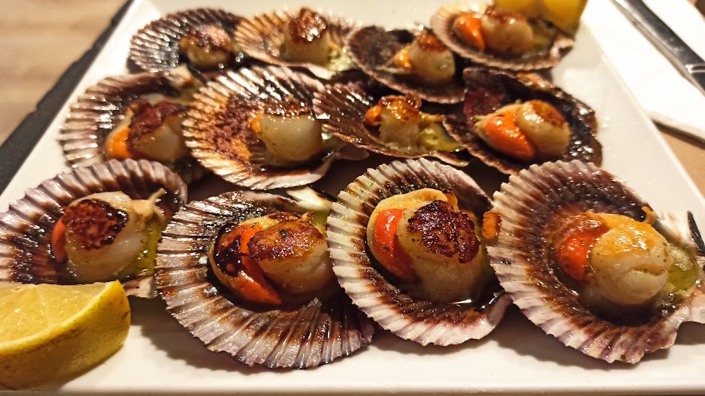 Taberna del puerto — Pectinidae