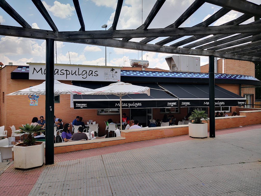Malaspulgas Cafe Tapas
