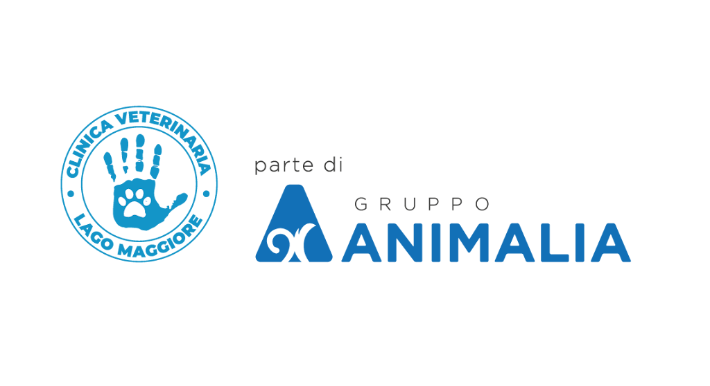 Clinica Veterinaria Lago Maggiore — Mas recientes