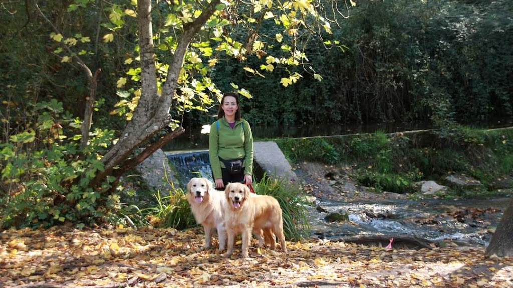 Villalba Intervenciones Asistidas con Animales y Educacion Canina