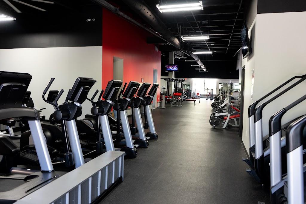  The Rock Fitness Rome