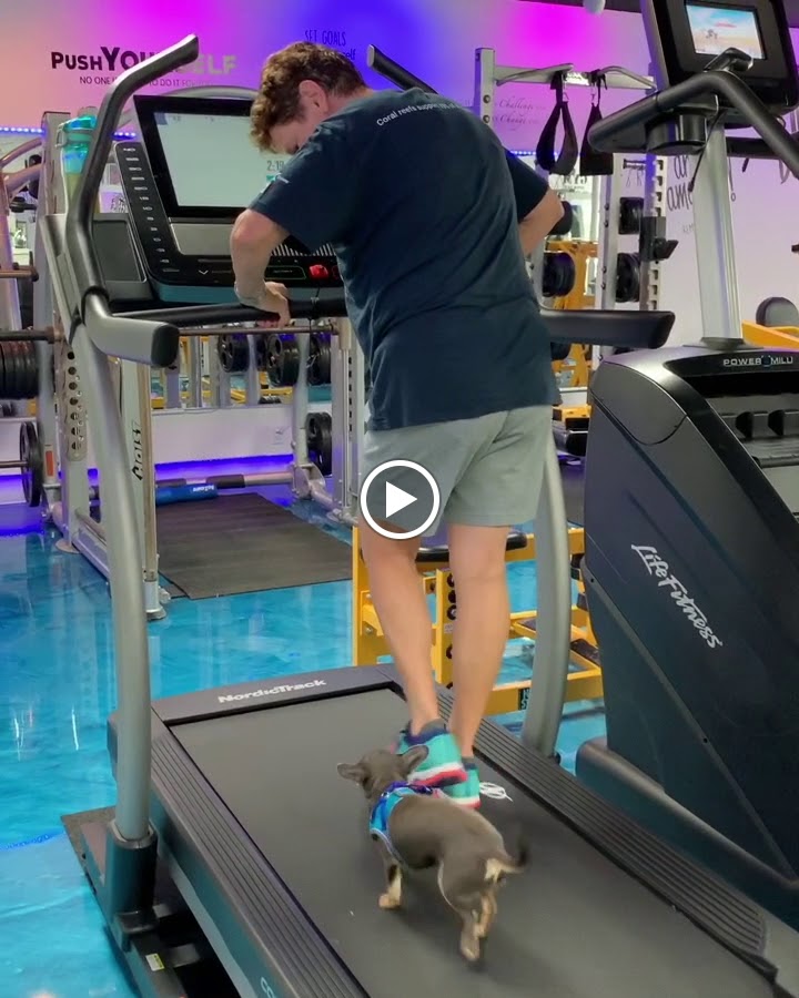  24/7 Gym Body By Petra