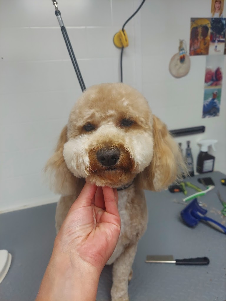 Pet groomer in Erda