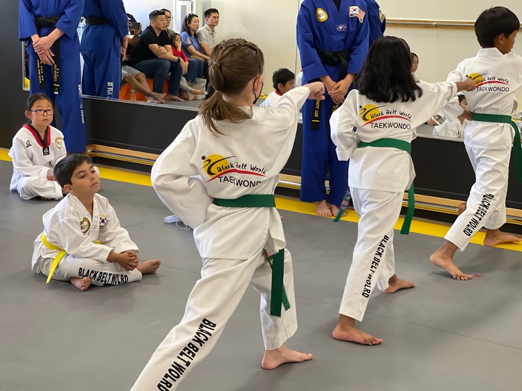  Taekwondo Family Fitness