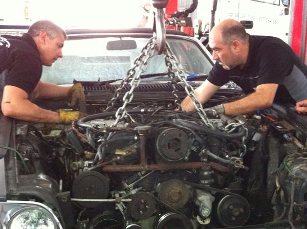 Nova Motors Gandia s.l. — Del propietario