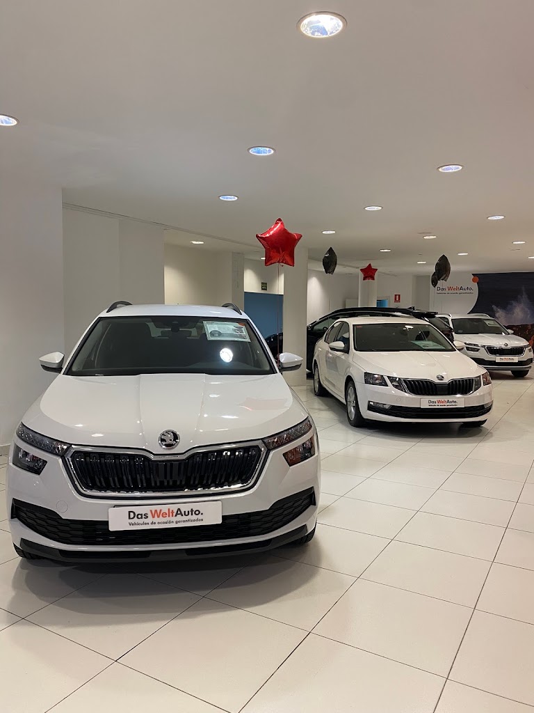 Concesionario Oficial Skoda Barakaldo — Todas