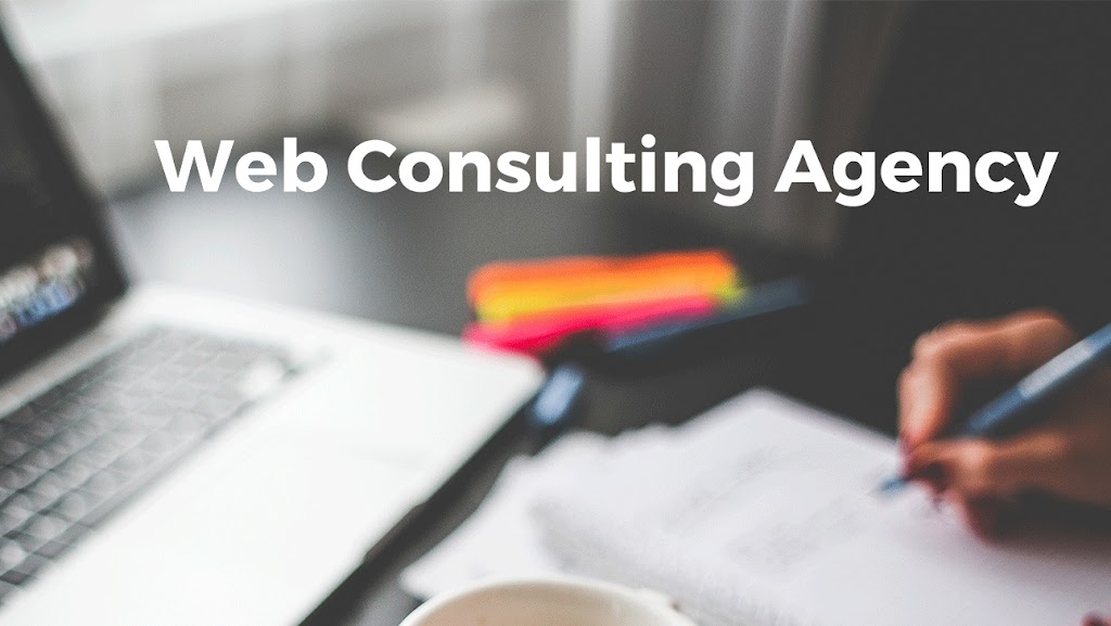 Web Consulting Agency