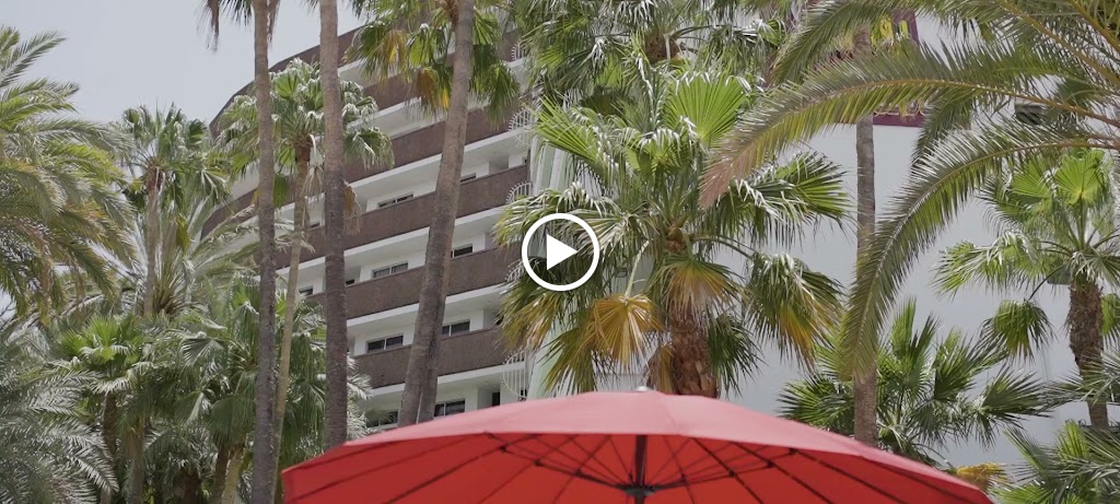 Rimini Italiano Corona blanca — Videos