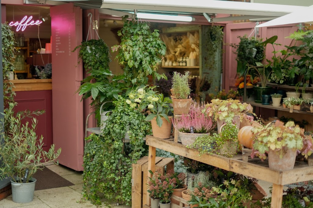 Foxglove studio