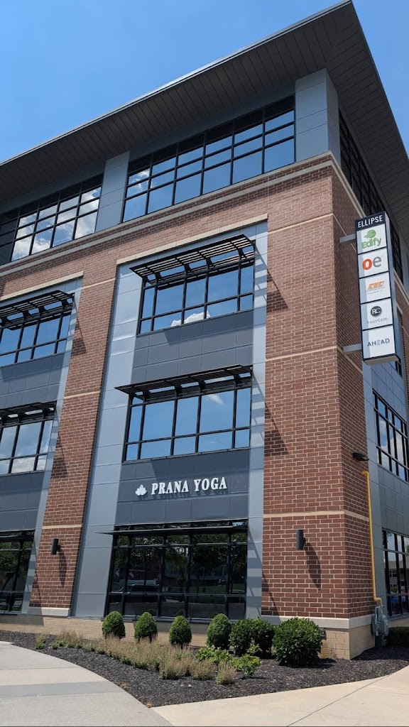  Prana Yoga & Wellness