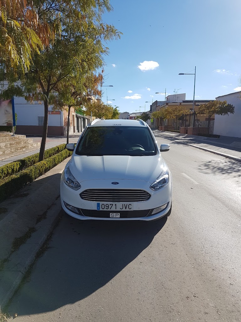 Taxi Valdepenas Victoriano Alhambra Marin