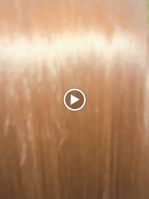 Lush Nails Lounge Salon