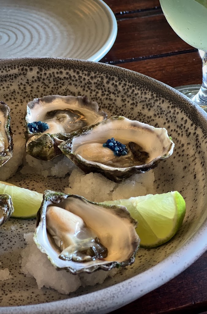 Oyster