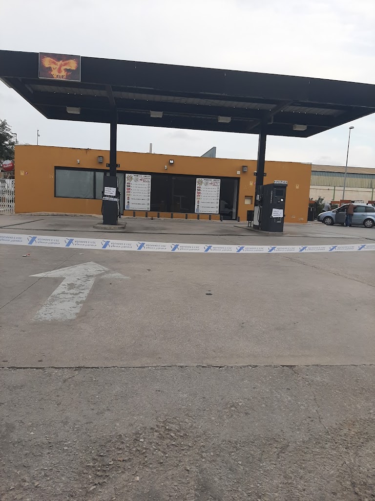 Fenix Gestion — Estacion de servicio