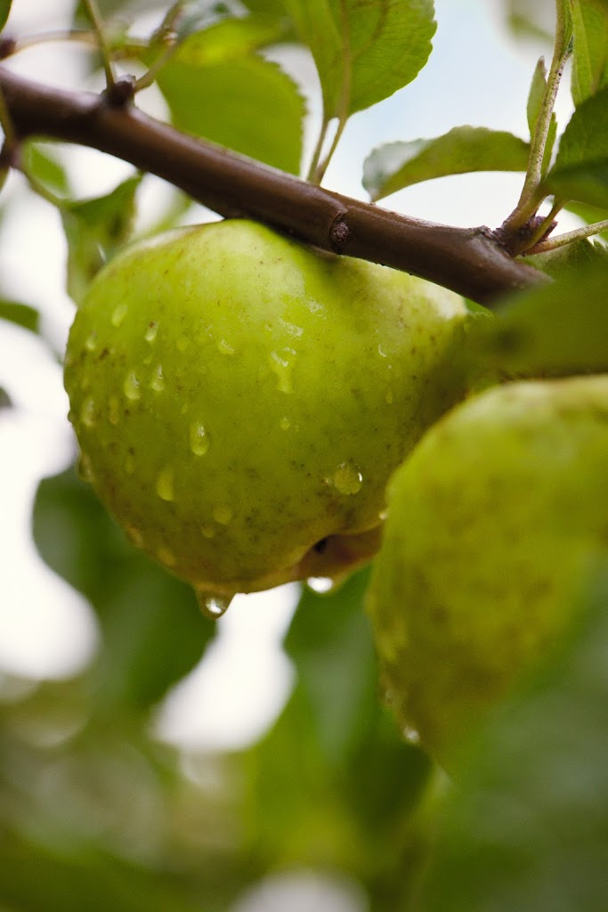 Yves Rocher - Sant Cugat del Valles
