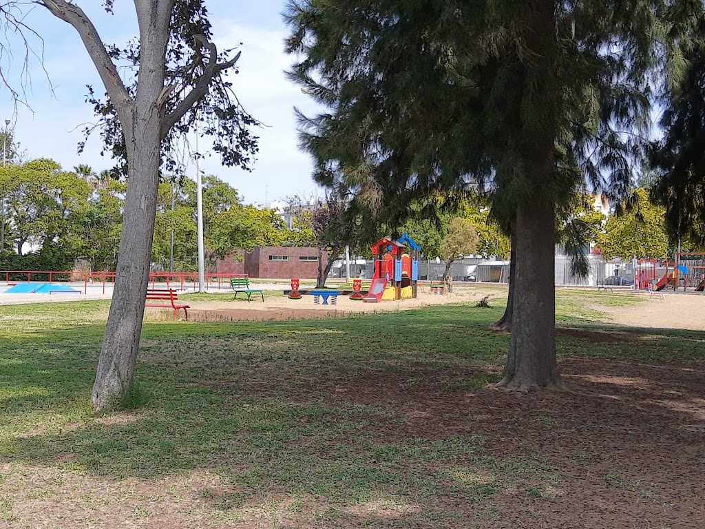 Skatepark Parque central