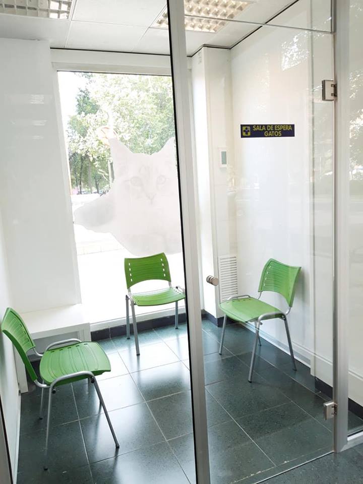 Clinica Veterinaria Perseo Alcorcon — Del propietario